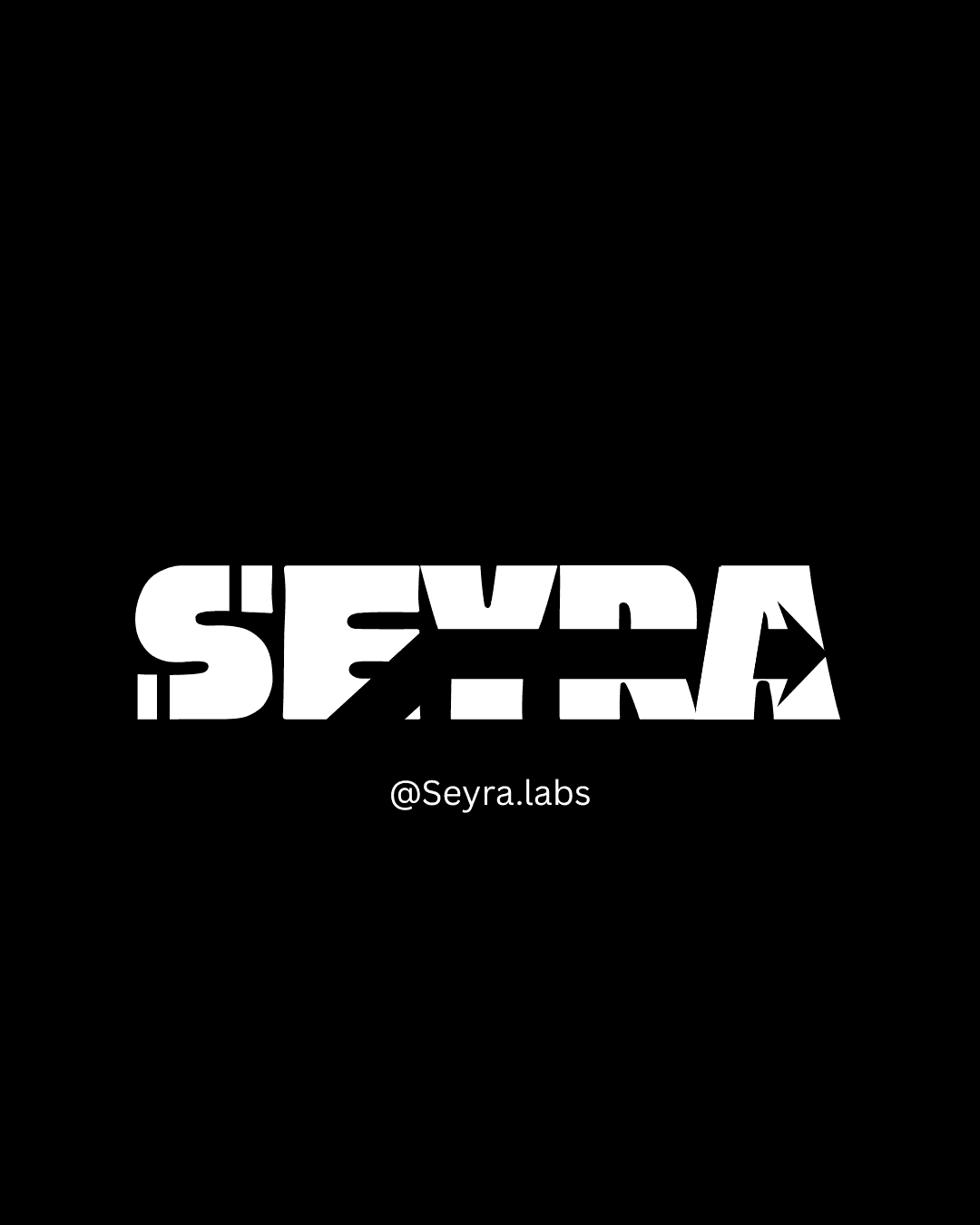 Seyra milestones visual